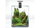 Oasis Aquariums – A Reliable Aquarium Shop in Sydney and Australia