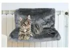 Trusted Pet Beds Wholesale Supplier for UK Retailers