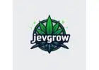 FREE Seeds with Every Order! Premium CBD Flowers & Grow Products (Germany)