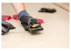 Best Emergency Pest Control service in Craigieburn