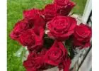 Best Flower Delivery in Kirwan
