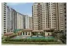1, 2 & 3 BHK Flats in Sector 76 Noida Starting From Only ₹45 Lakh – Amrapali Princely Estate