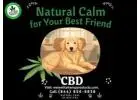 CBD for Dogs – Premium Hemp Wellness Support for Your Pet