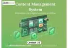 Content Management System (CMS) Solutions for Easy Website Management