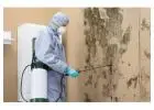 Simpsonville 24 Hour Emergency Repair | Water, Fire & Mold