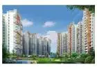 View 2BHK Apartment in Amrapali Spring Meadows in Noida Extension Starting From ₹66,00,000