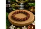 Shop 7 Mukhi Rudraksha Bracelet Online
