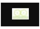Graduation Flowers Melbourne | Same Day Flower Delivery