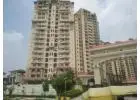 Buy 2, 3, and 4 BHK apartments at Amrapali Sapphire in Noida's Sector 45 for just ₹90 lakh