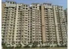 Buy 1, 2, 3, and 4 BHK apartments in Noida's Sector 76 starting at just ₹93 lakh – Amrapali Silicon