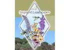 Landscape Contractors Near Me