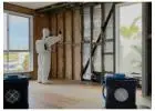 Best Mold Removal service in Tweed Heads West
