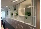Pot Plant Hire for Attractive Indoor and Outdoor Spaces