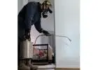 Best Termite Control service in Cranbourne North