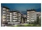 Vihan Heights, Sector 107, Noida – Modern Builder Floor Homes