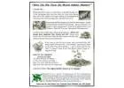 Learn How to Build Income With an Automated Business System