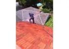 Trusted Roof Painters Adelaide for Quality Roof Coatings