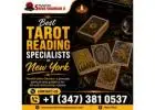 Best Tarot Reading Specialists in New York