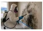 Habitability Property Inspections