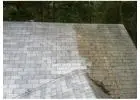 Pressure Roof Cleaning