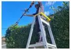 Best Garden Clean Ups in Sans Souci