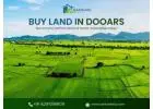 Buy Land in Dooars – Find Your Ideal Plot