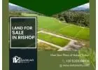 Land for Sale in Rishop – Find Your Ideal Mountain Property
