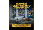 Want to make money online without the hassle?