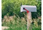 Letterbox Flowers Sydney for Every Special Occasion Today