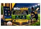 Winadda App and Winadda APK – Mobile Access and Software Guide