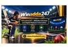 Winadda247 – Website Overview and Digital Platform Information
