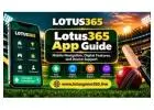 Lotus365 App – Mobile Navigation, Digital Features, and Device Support